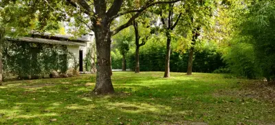 Casa tipo Quinta sobre dos parcelas, Moreno: foto 3 de la galería